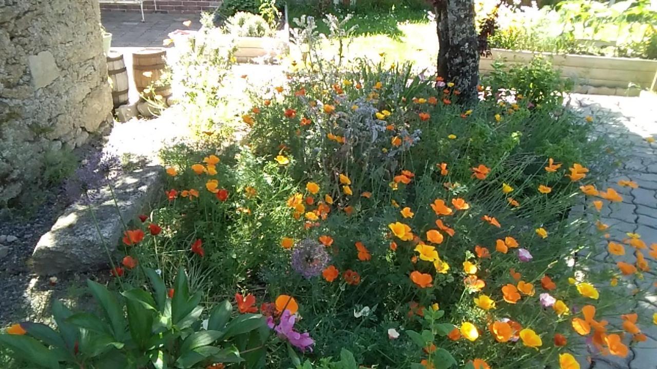 Les Tournesols Bed & Breakfast La Bernardiere Eksteriør bilde
